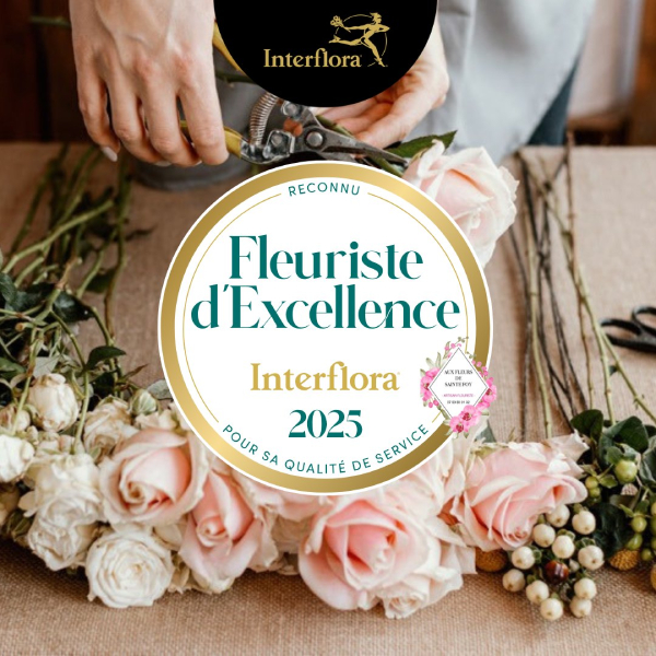 Aux Fleurs de Sainte Foy Aux Fleurs de Sainte Foy